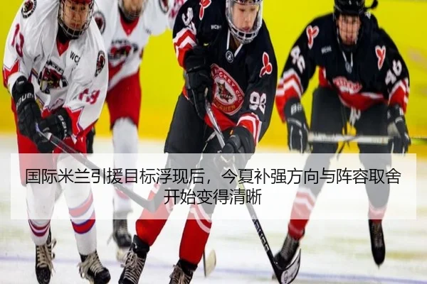 国际米兰引援目标浮现后，今夏补强方向与阵容取舍开始变得清晰 | WL SPORTS